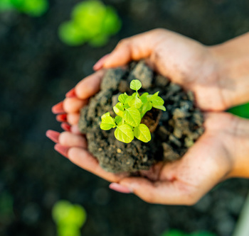 Инженерные биологические системы: междисциплинарное образование в школах - fgospostavki.ru - Хабаровск