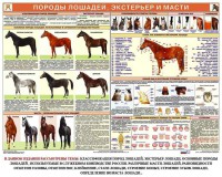 Комплект плакатов "Служебное коневодство" - fgospostavki.ru - Хабаровск