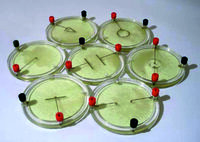 Демонстрационный комплект «Силовые линии электрического поля разных систем зарядов» - fgospostavki.ru - Хабаровск