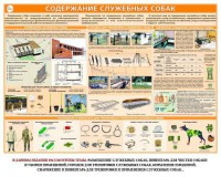 Комплект плакатов "Кинология" - fgospostavki.ru - Хабаровск