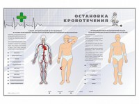 Электрифицированный стенд "Остановка кровотечения" - fgospostavki.ru - Хабаровск