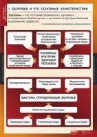Комплект таблиц. ОБЖ. Здоровый образ жизни. - fgospostavki.ru - Хабаровск