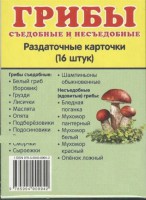 Раздаточные карточки "Грибы съедобные и не съедобные" - fgospostavki.ru - Хабаровск