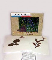 Гербарий "Дикорастущие растения" (28 видов) - fgospostavki.ru - Хабаровск