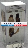 Влажный препарат "Внутреннее строение брюхоногого моллюска" - fgospostavki.ru - Хабаровск