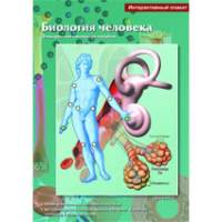 Интерактивные плакаты. Биология человека. Программно-методический комплекс - fgospostavki.ru - Хабаровск