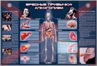 Электрифицированный стенд "Вредные привычки: алкоголизм" - fgospostavki.ru - Хабаровск