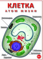 DVD "Клетка - "атом жизни" - fgospostavki.ru - Хабаровск