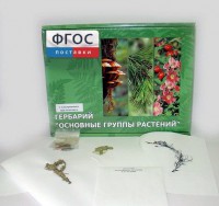 Гербарий "Основные группы растений" (52 листа) - fgospostavki.ru - Хабаровск
