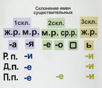 Набор магнитных карточек "Склонение имен существительных" - fgospostavki.ru - Хабаровск