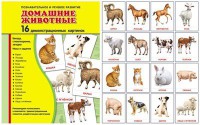 Демонстрационные карточки "Домашние животные" - fgospostavki.ru - Хабаровск