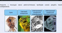 Интерактивные курсы. Биология 5 класс. Расширенный - fgospostavki.ru - Хабаровск