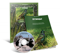 Электронное наглядное пособие «Птицы» - fgospostavki.ru - Хабаровск