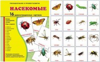 Демонстрационные карточки "Насекомые" - fgospostavki.ru - Хабаровск