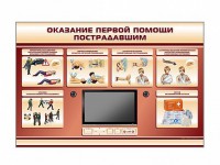 Многофункциональный интерактивный стенд-тренажер "Оказание первой помощи пострадавшим" для учащихся общеобразовательных учреждений - fgospostavki.ru - Хабаровск