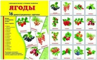 Демонстрационные карточки "Ягоды" - fgospostavki.ru - Хабаровск