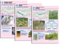 Комплект таблиц по географии "Природные зоны России" раздаточные (цветные, ламинированные, А4, 10 штук) - fgospostavki.ru - Хабаровск