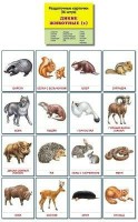 Раздаточные карточки "Дикие животные (1)" - fgospostavki.ru - Хабаровск
