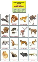 Раздаточные карточки "Дикие животные (2)" - fgospostavki.ru - Хабаровск