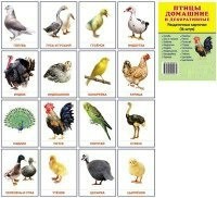 Раздаточные карточки "Птицы домашние и декоративные" - fgospostavki.ru - Хабаровск