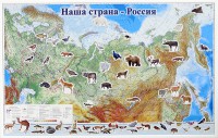 Магнитные карточки "Животные" - fgospostavki.ru - Хабаровск