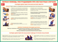 Таблица "Порядок действий при внезапной смерти" (100х140 сантиметров, винил) - fgospostavki.ru - Хабаровск