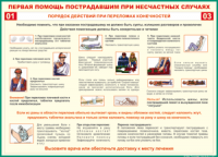 Таблица "Порядок действий при переломах конечностей" (100х140 сантиметров, винил) - fgospostavki.ru - Хабаровск