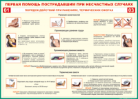 Таблица "Порядок действий при ранениях и термических ожогах" (100х140 сантиметров, винил) - fgospostavki.ru - Хабаровск