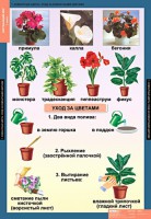 Комплект таблиц. Окружающий мир 1 класс. - fgospostavki.ru - Хабаровск