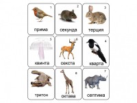 Набор магнитных карточек по музыке "Животные" (9 штук) - fgospostavki.ru - Хабаровск