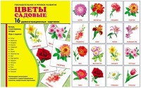 Демонстрационные карточки "Цветы садовые" - fgospostavki.ru - Хабаровск