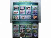 Комбинированный модульный комплекс "Лого-биолог" - fgospostavki.ru - Хабаровск
