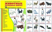 Демонстрационные карточки "Животные холодных широт" - fgospostavki.ru - Хабаровск