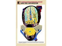 Рельефная таблица "Долька печени. Макро-микростроение" (формат А1, матовое ламинирование) - fgospostavki.ru - Хабаровск