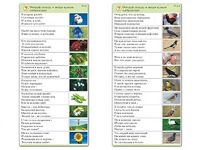 Комплект карточек (10) "Обучающий калейдоскоп. Природа" - fgospostavki.ru - Хабаровск
