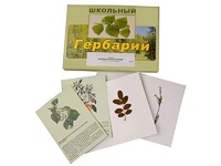Гербарий "Деревья и кустарники" (22 вида, с иллюстрациями) - fgospostavki.ru - Хабаровск