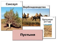 Модель-аппликация "Природные зоны России" (ламинированная) - fgospostavki.ru - Хабаровск