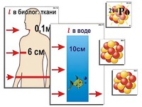 Модель-аппликация "Явление радиоактивности" (ламинированная) - fgospostavki.ru - Хабаровск