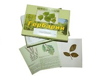 Гербарий "Дикорастущие растения" (30 видов, с иллюстрациями) - fgospostavki.ru - Хабаровск