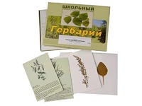 Гербарий "Лекарственные растения" (22 вида с иллюстрациями) - fgospostavki.ru - Хабаровск