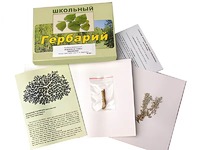 Гербарий "Водоросли. Грибы. Лишайники" (раздаточный) - fgospostavki.ru - Хабаровск
