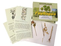 Гербарий "Систематика растений. Семейство Бобовые. Злаки" (раздаточный) - fgospostavki.ru - Хабаровск