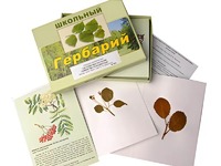 Гербарий "Систематика растений. Семейство Розоцветные" (раздаточный) - fgospostavki.ru - Хабаровск