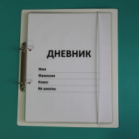 Дневник школьника (с полным набором карточек) - fgospostavki.ru - Хабаровск