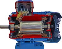 Учебная модель «Электродвигатель асинхронный в разрезе» - fgospostavki.ru - Хабаровск