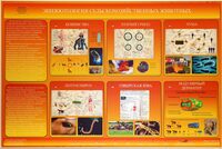 Электрифицированный стенд «Эпизоотология сельскохозяйственных животных» - fgospostavki.ru - Хабаровск