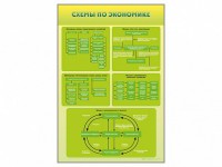 Стенды "Схемы по экономике" - fgospostavki.ru - Хабаровск