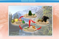 Интерактивные курсы. Биология 7 класс. Базовый. - fgospostavki.ru - Хабаровск