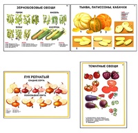 Плакаты ПРОФТЕХ "Ассортимент овощных культур" (12 пл, винил, 70х100) - fgospostavki.ru - Хабаровск