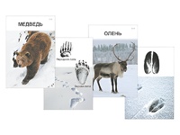 Комплект дидактических карточек "Следы на снегу" - fgospostavki.ru - Хабаровск